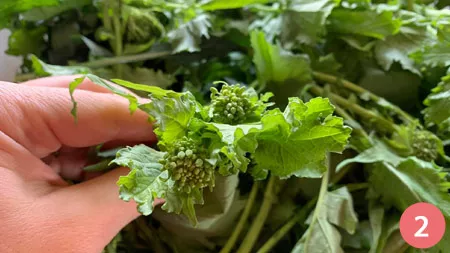 Orecchiette alla cime di rapa - Passaggio 2