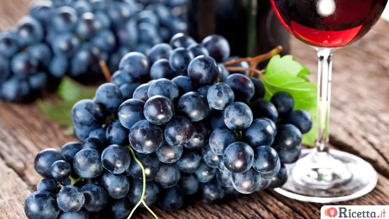 A San Martino ogni mosto diventa vino: cosa significa davvero il proverbio
