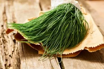 Agretti: caratteristiche, proprietà e come si cucinano