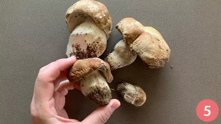 Arrosto di vitello ai funghi - Passaggio 5