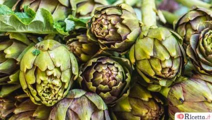 Il Carciofo, caratteristiche e proprietà