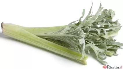 Cardo: proprietà e come cucinarlo