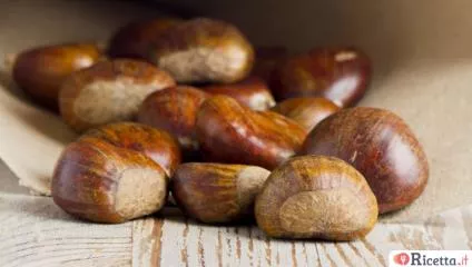 Castagna, caratteristiche e proprietà