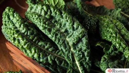 Cavolo nero, caratteristiche e proprietà
