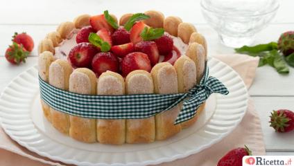 Charlotte alle fragole, un dolce senza cottura, cremoso e pronto in pochi minuti