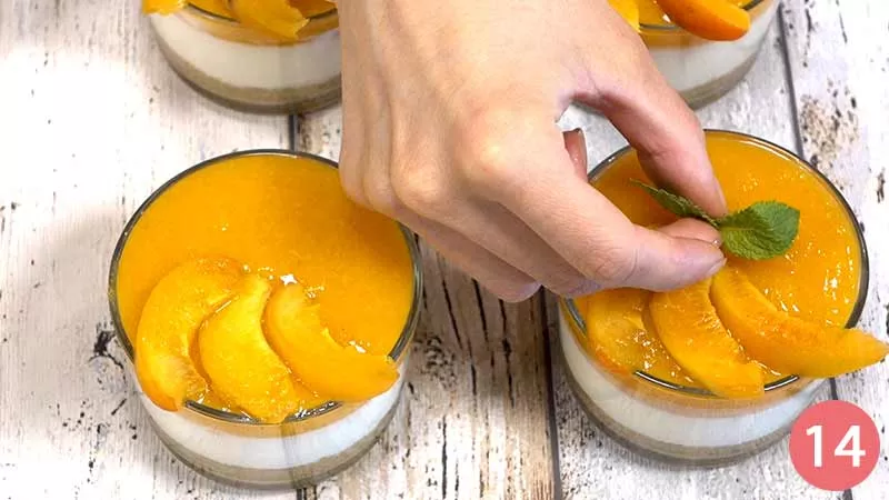 cheesecake-albicocca 14