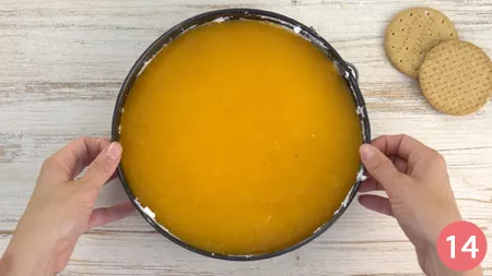Cheesecake alle albicocche - Passaggio 14