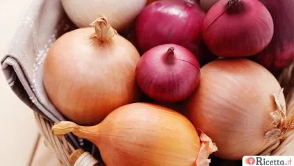 Cipolla: proprietà e utilizzi in cucina