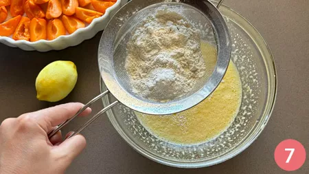 Clafoutis alle albicocche - p7