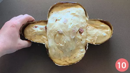 Colomba salata - p10