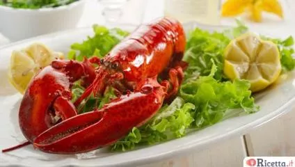 Come cucinare l'astice