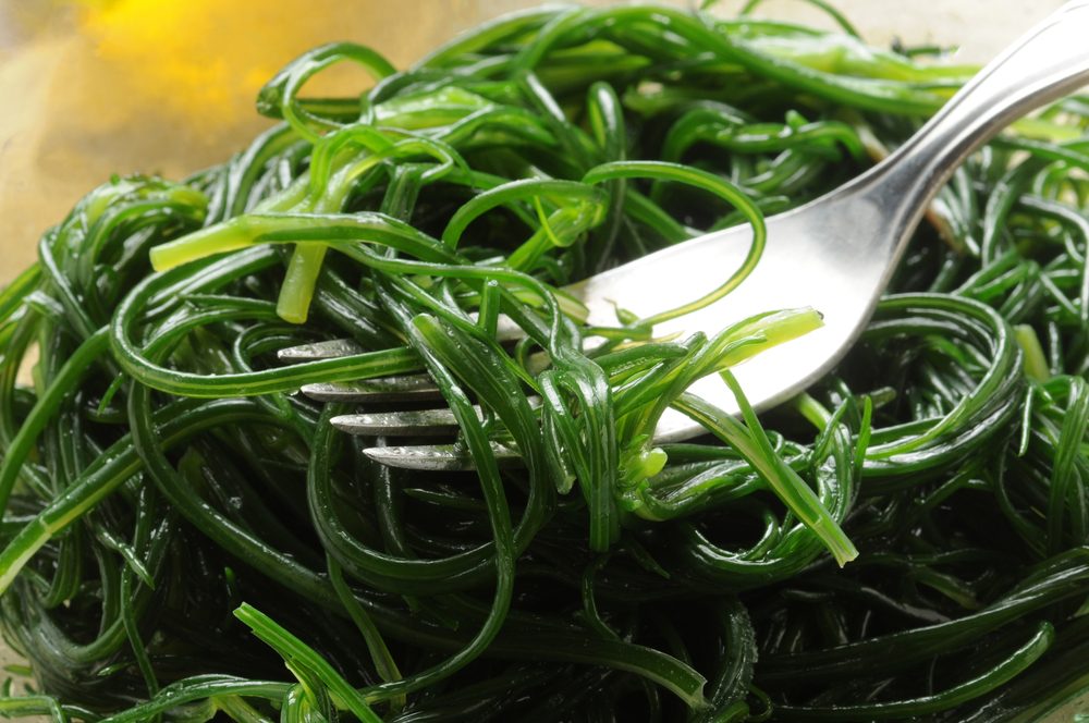 Agretti: caratteristiche, proprietà e come si cucinano