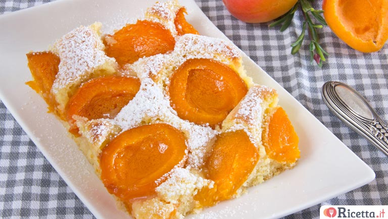 Schiacciata di albicocche