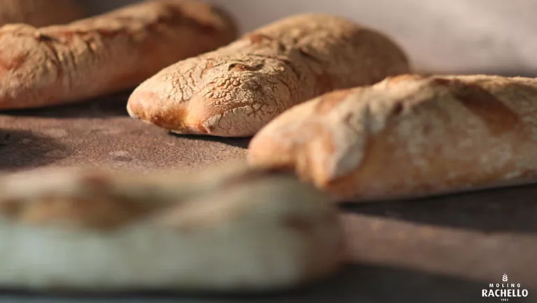 Come scegliere la farina giusta per fare il pane