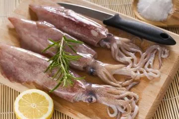 Come si distingue il totano dal calamaro?