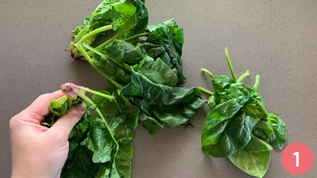 Conchiglioni ricotta e spinaci - p1