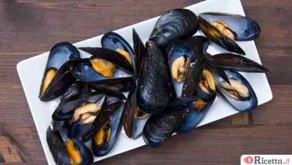 Cozze: proprietà e come si cucinano