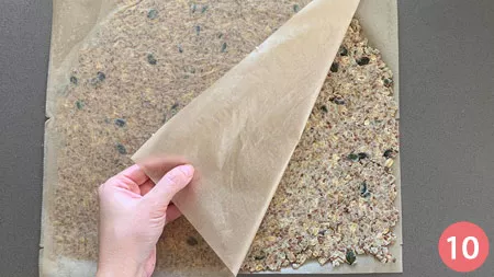 Crackers ai semi - P10