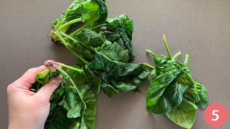 Crespelle alla fiorentina - p5