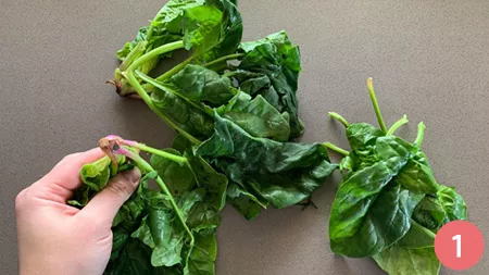 Crespelle ricotta e spinaci - p1