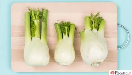 Finocchio, caratteristiche e proprietà