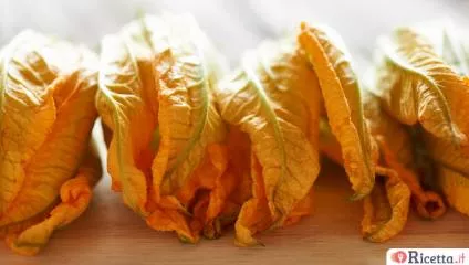 Fiori di zucca: proprietà e come si cucinano