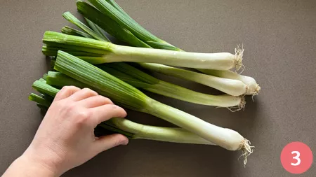 Focaccia di San Giuseppe: - p3