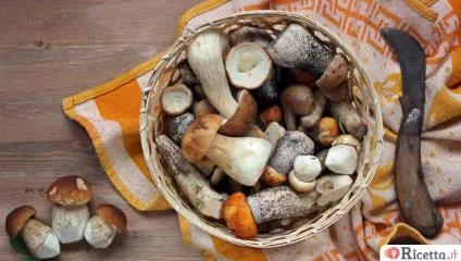 Funghi: la raccolta mese per mese