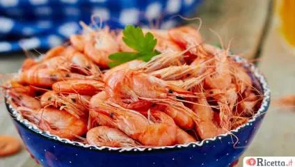 Gamberetto, proprietà e caratteristiche
