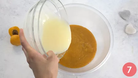 Gelato all'albicocca - Passaggio 7