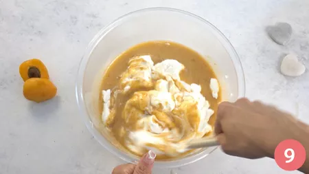 Gelato all'albicocca - Passaggio 9