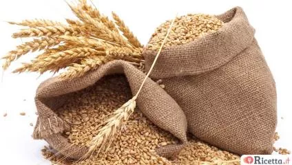 Grano duro e grano tenero, le differenze