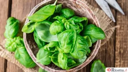 Come conservare il basilico per l'inverno