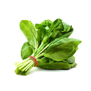 Ricette con gli spinaci