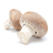 Caratteristiche e propriet` dei funghi