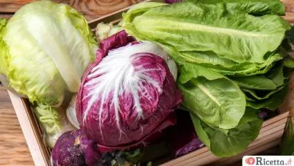 Insalata, tipologie e caratteristiche