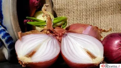 Le cipolle germogliate si possono mangiare?