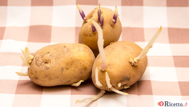 Le patate germogliate si possono mangiare?