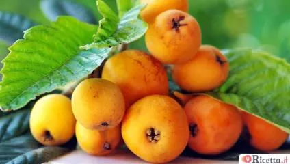 Nespole: proprietà e come usarle in cucina