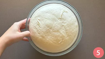 Pane di San Petronio - p5