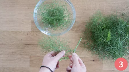 Pasta con le sarde - p3