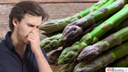 Perché la pipì puzza dopo aver mangiato gli asparagi?