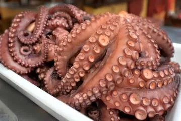 Polpo: caratteristiche come sceglierlo e come cucinarlo