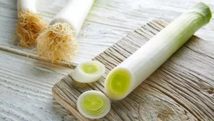 Il porro, caratteristiche e proprietà