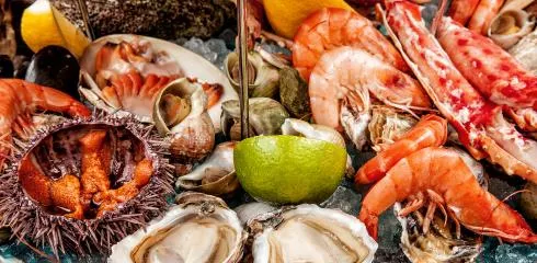 Quali sono i frutti di mare? Caratteristiche e lista completa