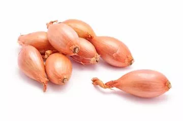 Scalogno: proprietà e come cucinarlo