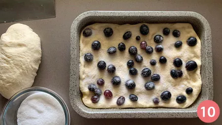 Schiacciata con l'uva - P10