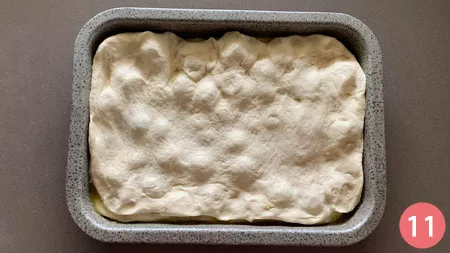 Schiacciata con l'uva - P11