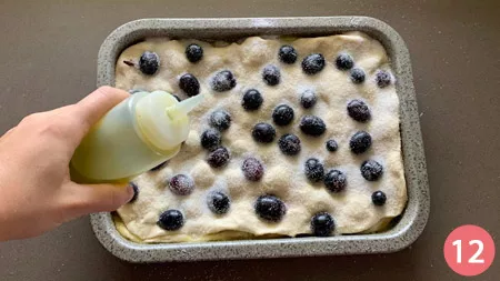 Schiacciata con l'uva - P12