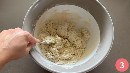 Schiacciata con l'uva - P3